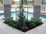alexis-broadbeach2